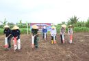 Pemkot Banjar Bersama Polres Banjar Dan Perum Bulog Melakukan Penanaman Jagung Serentak Kuartal 1 Tahun 2026