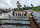 Polsek Pasirwangi Sulap Lahan Tak Produktif Jadi Kebun Cabai, 10 Ribu Bibit Ditanam Dukung Ketahanan Pangan