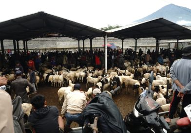Jelang Iduladha 1447 H, Bupati Garut Tinjau Kesiapan dan Kualitas Hewan Kurban