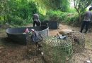 Arena Sabung Ayam di Kebun Bambu Digerebek Polisi, Sejumlah Barang Bukti Diamankan