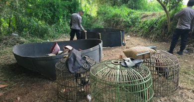 Arena Sabung Ayam di Kebun Bambu Digerebek Polisi, Sejumlah Barang Bukti Diamankan