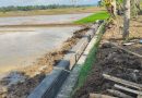 Kelompok Tani Sri Lestari Laksanakan Program RJIT, Petani Desa Karangpawitan Sambut Gembira TA 2026