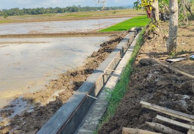 Kelompok Tani Sri Lestari Laksanakan Program RJIT, Petani Desa Karangpawitan Sambut Gembira TA 2026