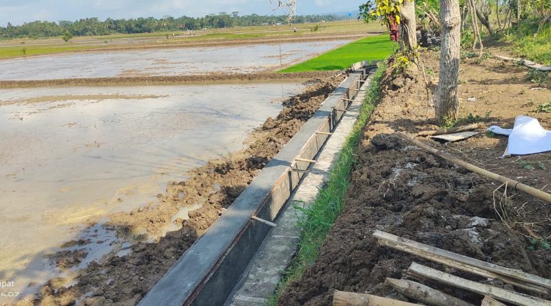 Kelompok Tani Sri Lestari Laksanakan Program RJIT, Petani Desa Karangpawitan Sambut Gembira TA 2026