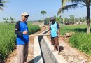 Petani Desa Madusari Sambut Gembira Program P3-TGAI Tahun 2026