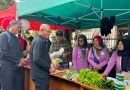 FESTA Dinas Pertanian 2026 Perkuat Ekonomi Petani, Penuhi Kebutuhan Masyarakat