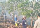 Kebakaran Lahan Seluas 5 Hektare Terjadi di Cikelet, Polisi Bersama Damkar dan Warga Lakukan Pemadaman