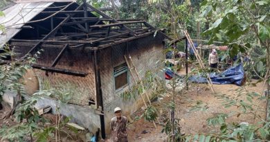 Pohon Tumbang Timpa Rumah, Warga dan Pemdes Panulisan Timur Bergotong Royong