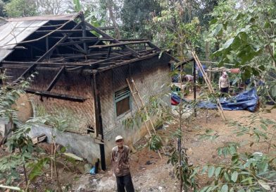 Pohon Tumbang Timpa Rumah, Warga dan Pemdes Panulisan Timur Bergotong Royong