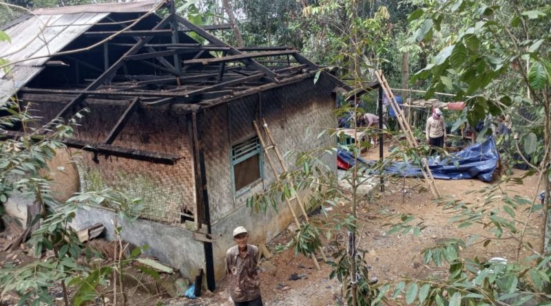 Pohon Tumbang Timpa Rumah, Warga dan Pemdes Panulisan Timur Bergotong Royong