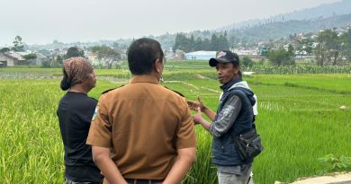 Dinas Pertanian Garut Salurkan Bantuan Benih Padi untuk Petani Bayongbong