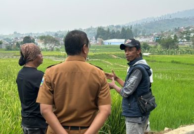 Dinas Pertanian Garut Salurkan Bantuan Benih Padi untuk Petani Bayongbong