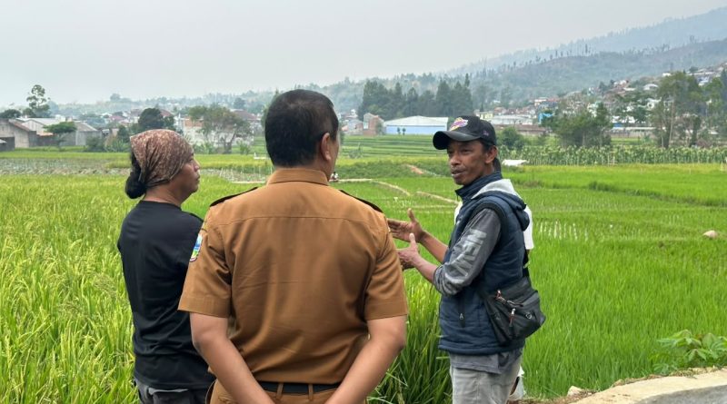 Dinas Pertanian Garut Salurkan Bantuan Benih Padi untuk Petani Bayongbong